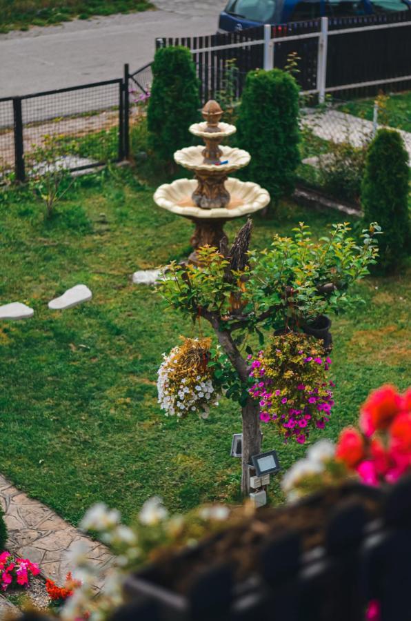 Vila Petunija Sjenica Εξωτερικό φωτογραφία